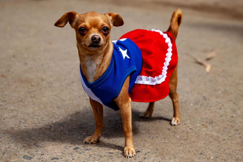 Comenzó septiembre - Agencia Uno