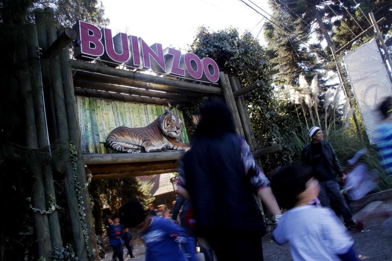 La explicación del Buinzoo tras ataque de felino a guacamayo - referencial Agencia Uno