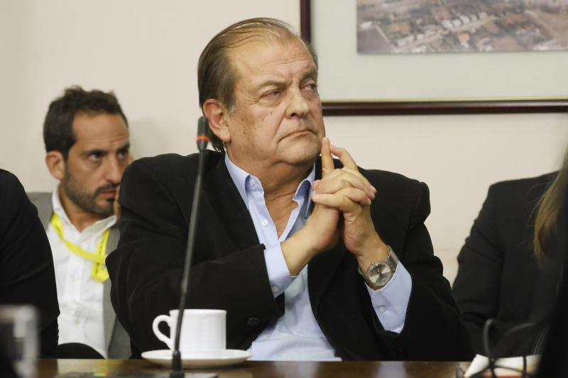 Aton- Vidal es integrante de la comisión política del PPD