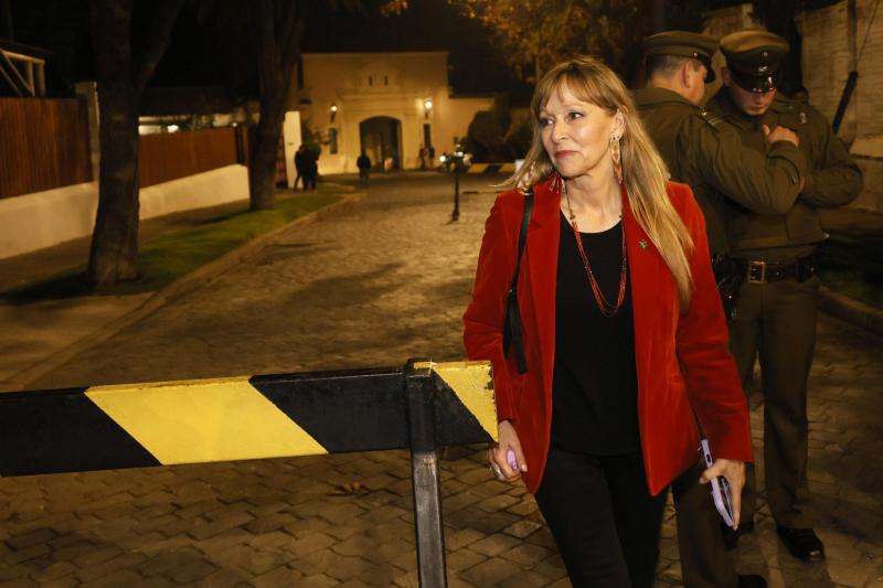 Aton- Diputada Gazmuri denunció maltrato animal en Puente Alto