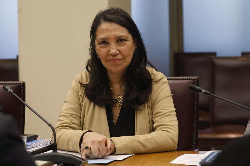 Senado despacha reforma sobre el voto extranjero - Aton