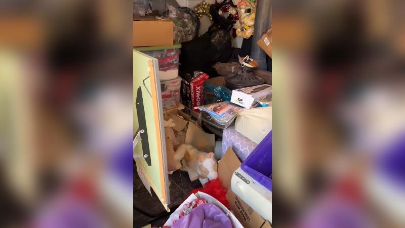 TikTok/daughter_of_therockafire - Mujer acumuló cosas por 16 años en su casa