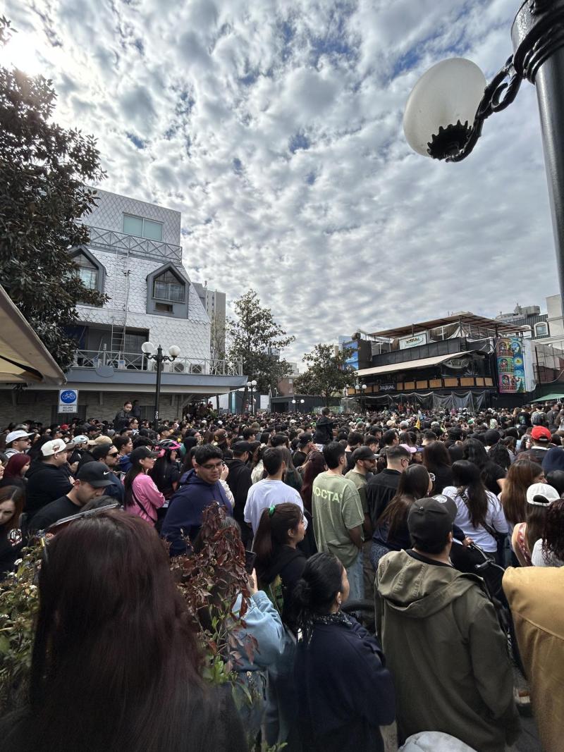 Fanáticos de Feid en Providencia - T13