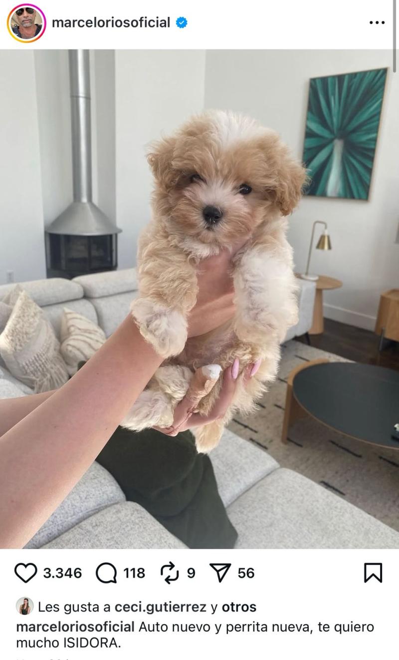 Instagram - Chino Ríos