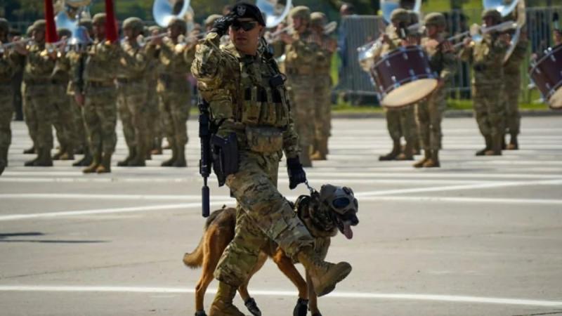 Drako, el perrito del Ejército que se despide en la Parada Militar - Ejército