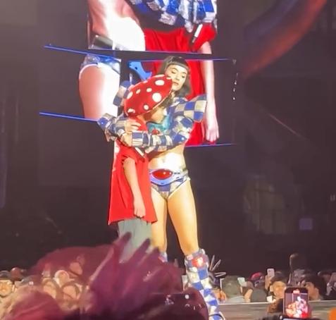El tierno momento de Katy Perry con niño chileno en concierto