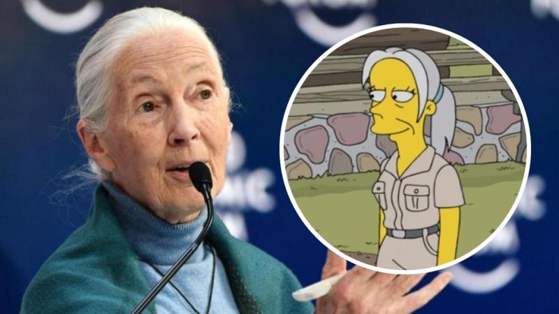 Jane Goodall - AFP/Disney