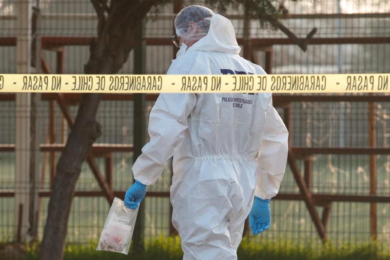 Agencia Uno - Encuentran dos cadáveres con larga data de muerte en zona rural de Chiloé (referencial)