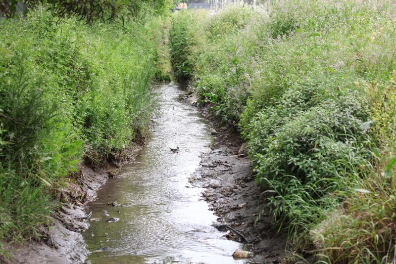 Aton - Canal de San Bernardo, sitio de interés por la desaparición de Krishna Aguilera
