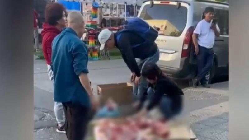 Faenan animal en pleno Barrio Meiggs - Tu Día