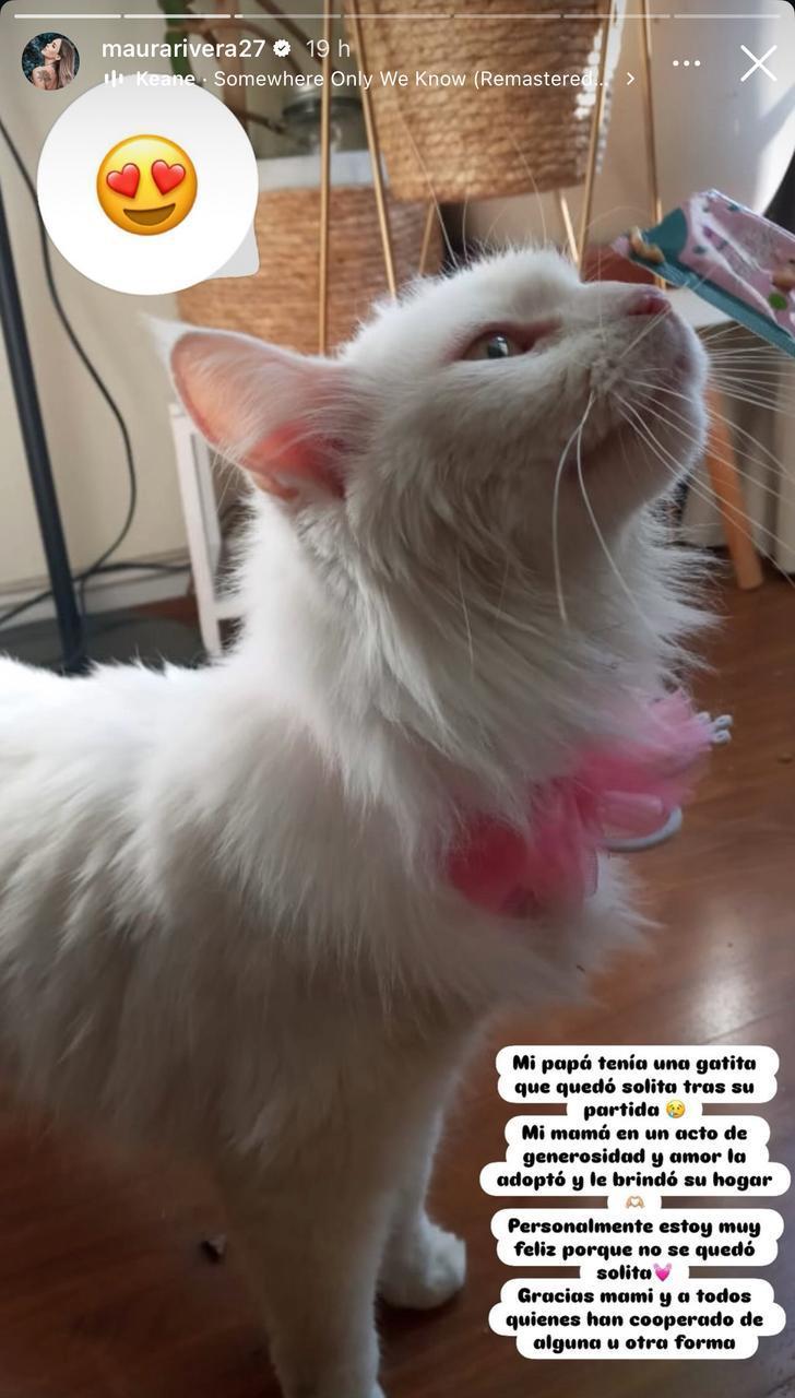 Instagram - Maura Rivera