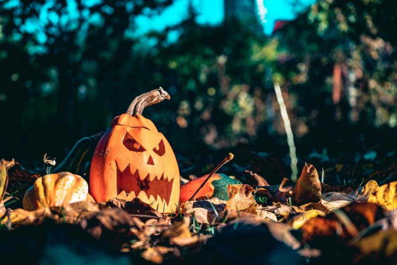 Halloween - Pexels