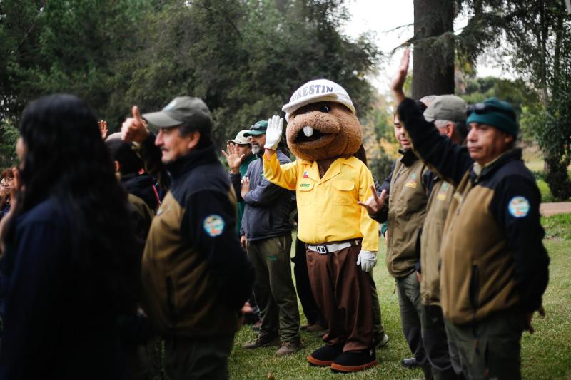 Fin de la Conaf: Qué dice la ley y qué organismos la reemplazarán - Agencia Uno