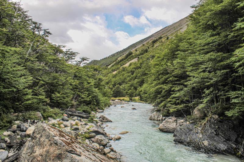 Agencia Uno - Tragedia en Torres del Paine