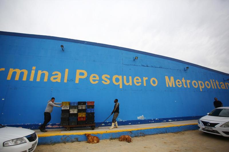 Al menos 20 detenidos en el Terminal Pesquero por robo de salmones - Aton
