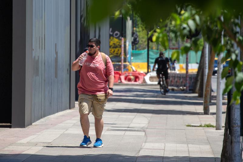 Aton - Hasta 30°C en Santiago: Revisa el pronóstico de este viernes 14 de noviembre