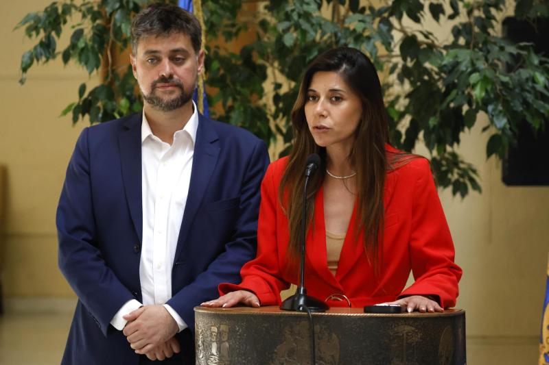 Aton- Manouchehri y Cicardini impulsan proyecto para elevar rango de tres causales