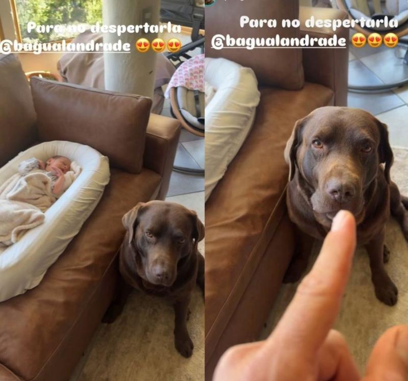 Pangal Andrade muestra tierno momento entre su perro Bagual y su hija Alanna | Instagram