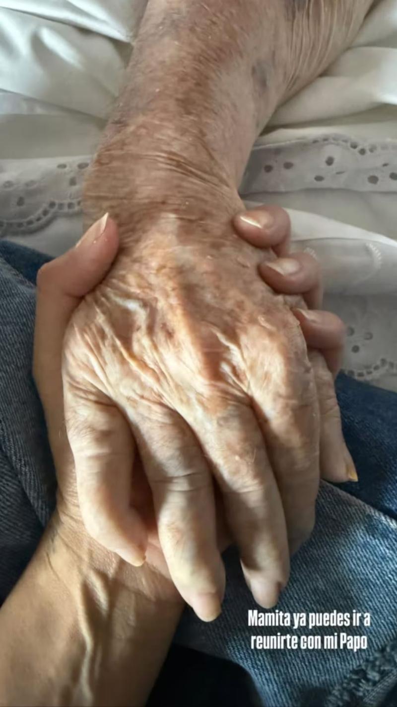 Daniela Castillo comunicó triste perdida - Instagram