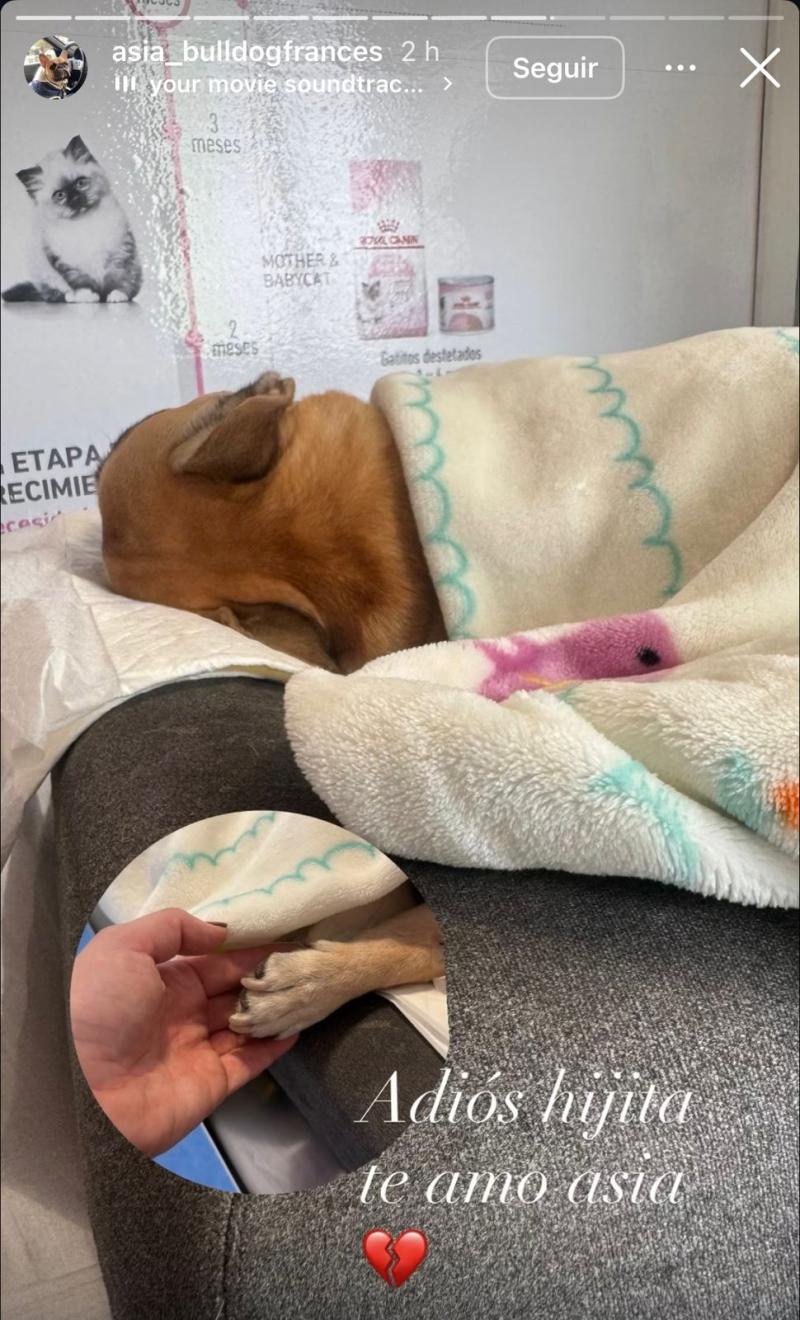 Instagram - Adriana Barrientos