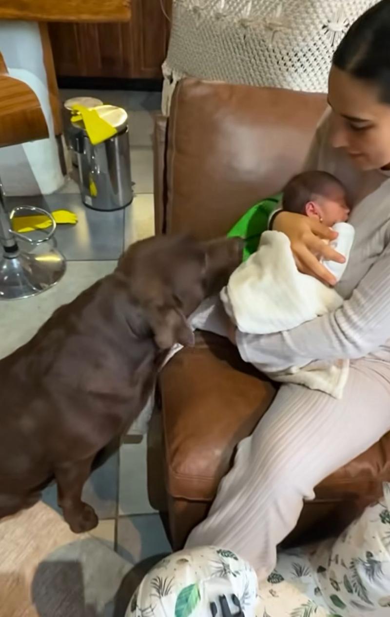 Pangal Andrade muestra tierno momento entre su perro Bagual y su hija Alanna | Instagram