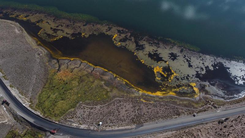CONAF - Derrame del Parque Nacional Lauca