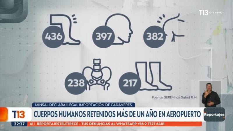 Reportajes T13 | El listado oficial de partes humanas ingresadas a Chile y las entidades que las importaron en la última década