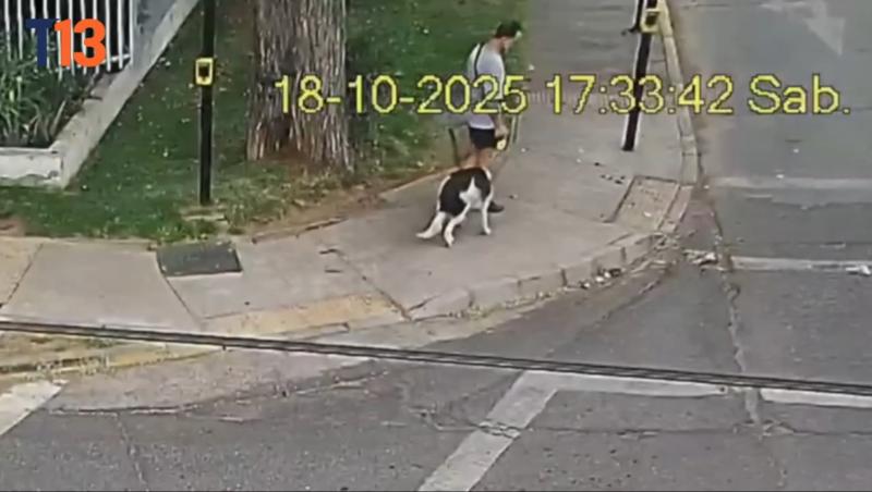 T13 - Imputado por triple homicidio en La Reina después de cometer el crimen