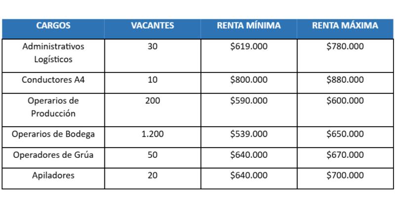 Black Friday: Ofrecen más de 1.500 puestos de trabajo - Team Work