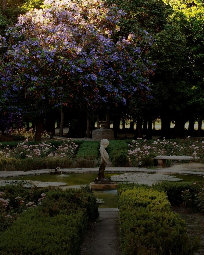 Instagram/@Valledelmaipo_ - Viña chilena elegida como la mejor del mundo