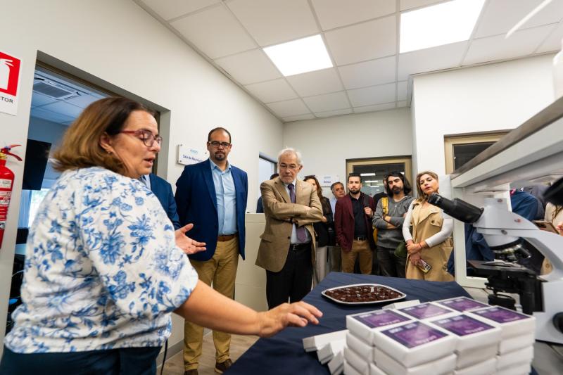 Gentileza - Crean en el Maule chocolate funcional que permite combatir el cáncer gástrico