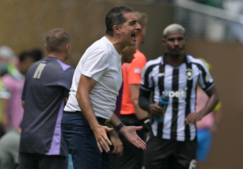 Renato Paiva en Botafogo | AFP