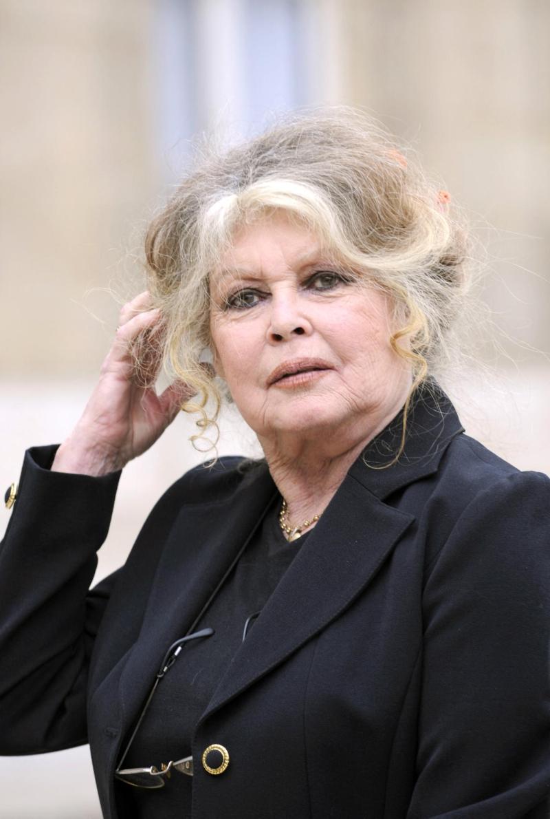Bardot en 2007 - AFP