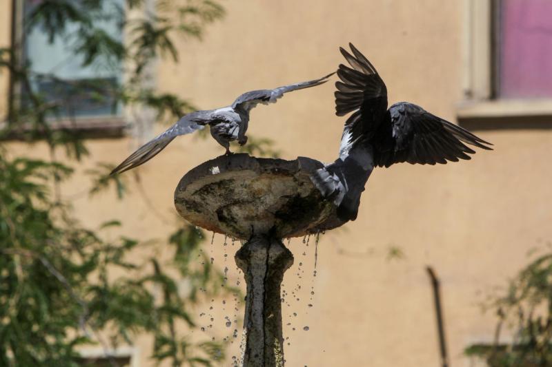 Altas temperaturas - Agencia Uno