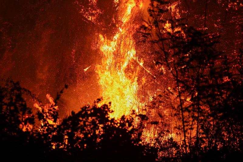 T13 - PDI detiene a hombre de 61 años por incendio forestal en Pichidegua: Fuego se habría iniciado durante desmalezaje | CONTEXTO - Agencia UNO