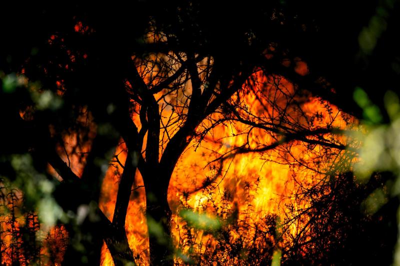 Agencia Uno - Incendio en San Pedro de Melipilla