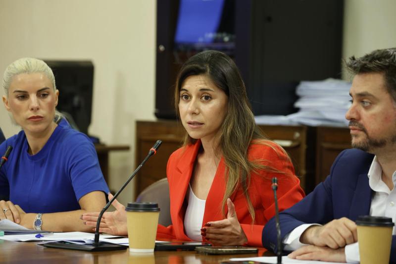Aton- Diputada Cicardini cuestionó declaraciones de Karamanos