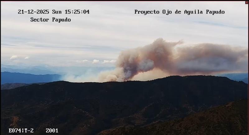 Incendio forestal en Zapallar | YouTube -Proyecto Ojo de Aguila Chile