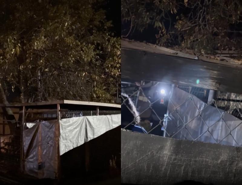 Joven con discapacidad fue encontrada encerrada en una perrera: cuidadora se justificó asegurando que estaba “orinando por todas partes" - Criminally Obsessed