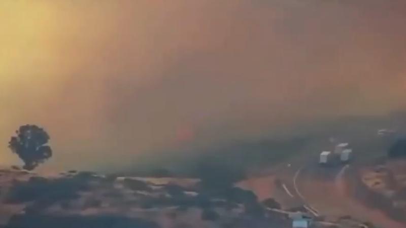 Tu Día - Alerta roja por incendio forestal en San Pedro de Melipilla