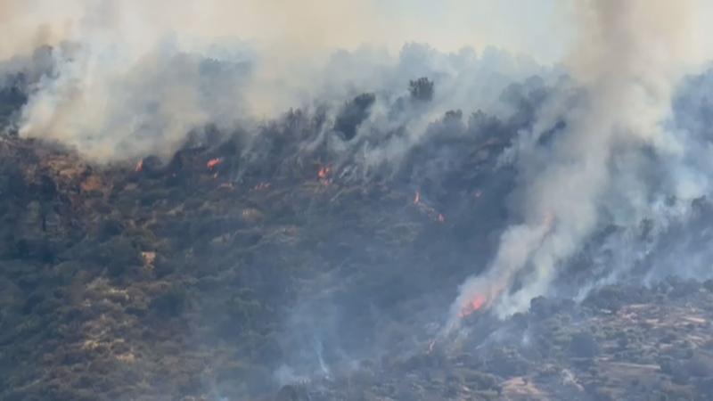 Incendio forestal en Pichidegua - T13