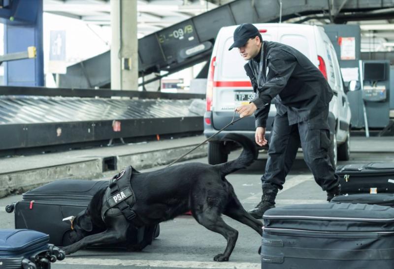 Captura de redes del equipo binomio cinotécnico, referencial