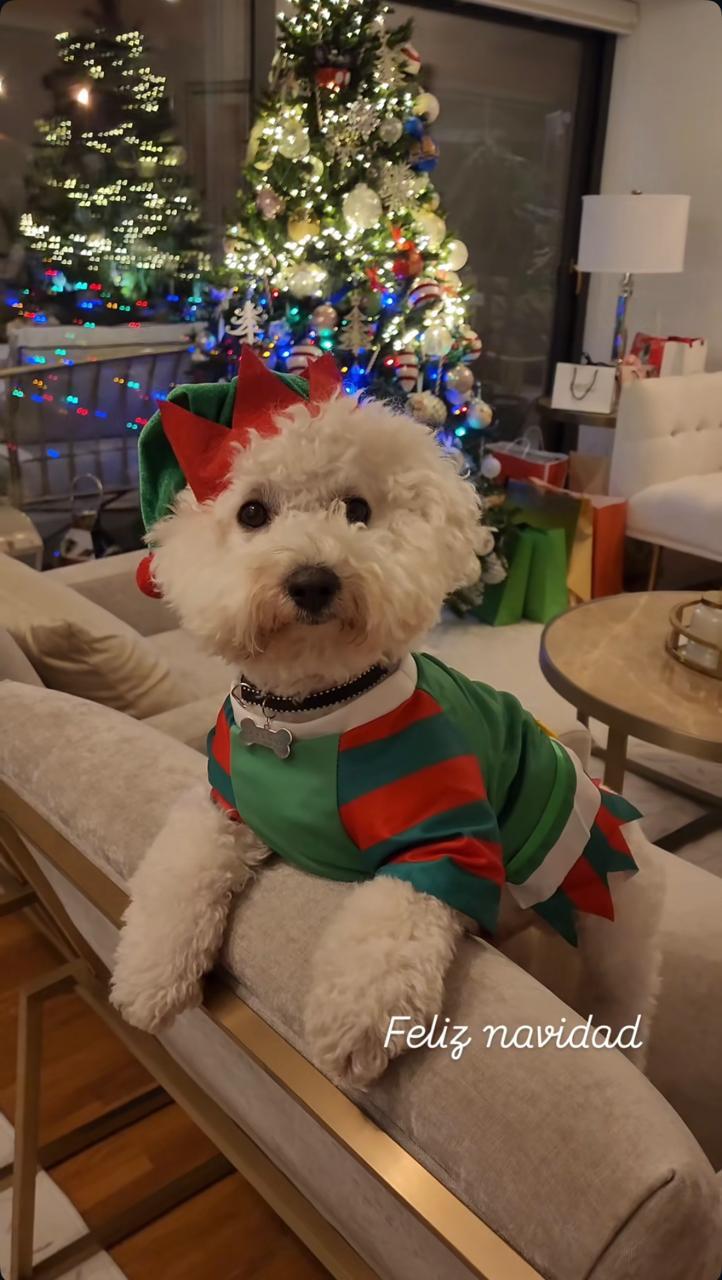 Instagram - Michelle Adam publicó esta storie en su Instagram esta Navidad