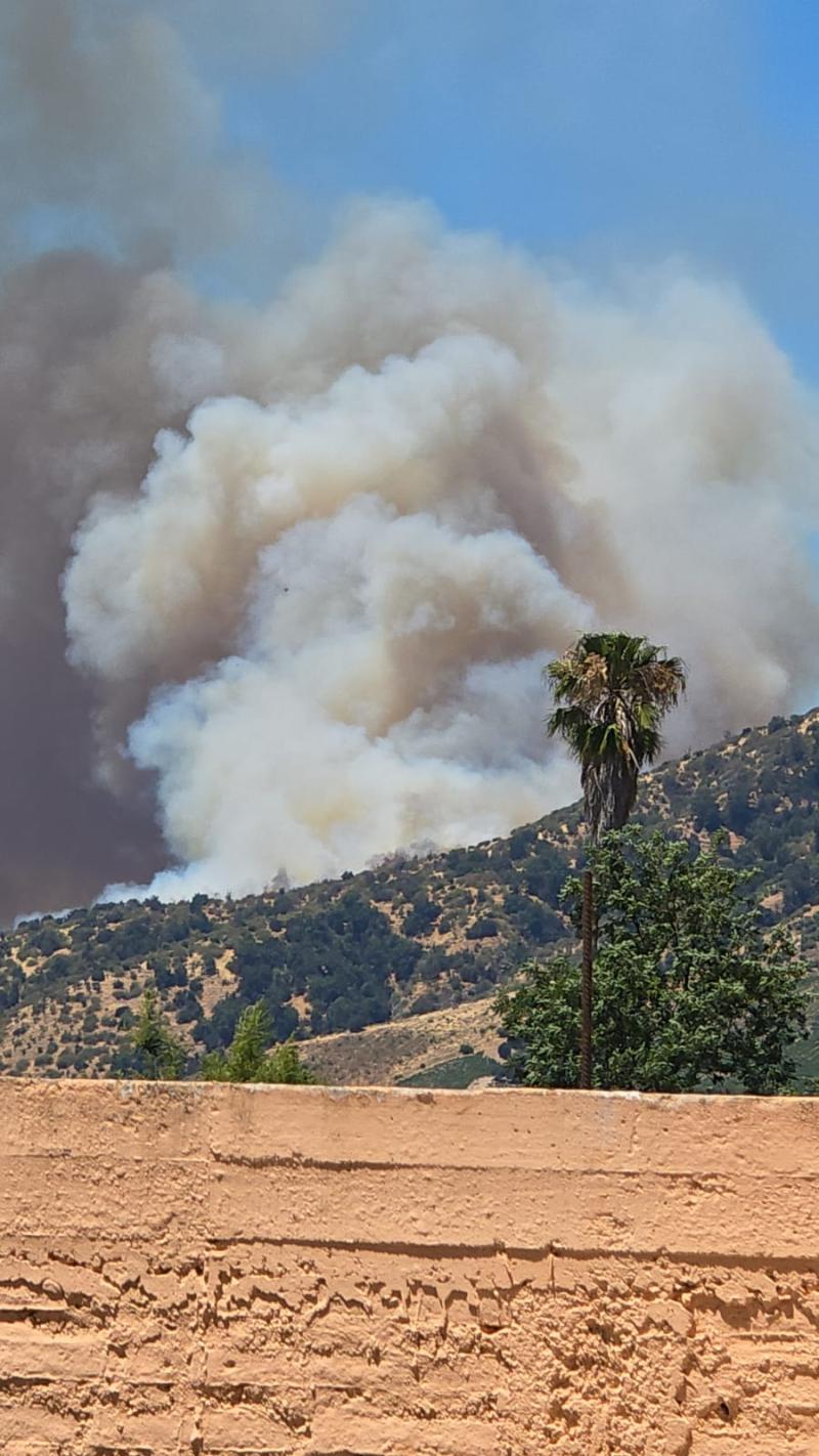 Incendio en Pichidegua - Cedida