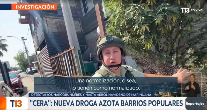 T13 - Árbol navideño de marihuana