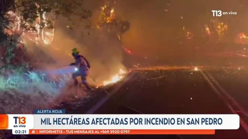 T13 - Animales calcinados y al menos 5 casas afectadas: Lo que deja por el momento el incendio en San Pedro de Melipilla