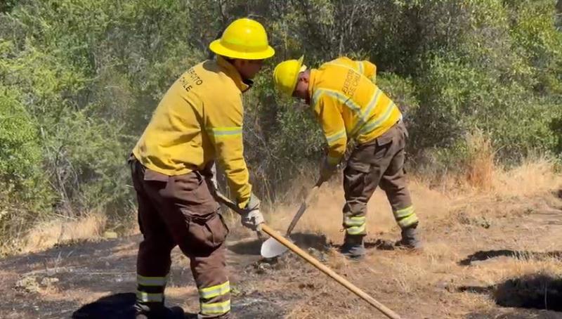 Incendio en Maule - T13