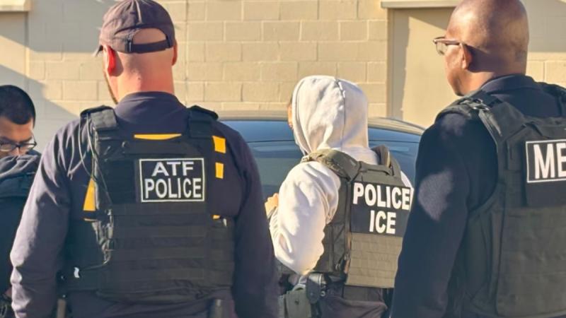 Chilena fue detenida por el ICE en EE.UU. - referencial ICE