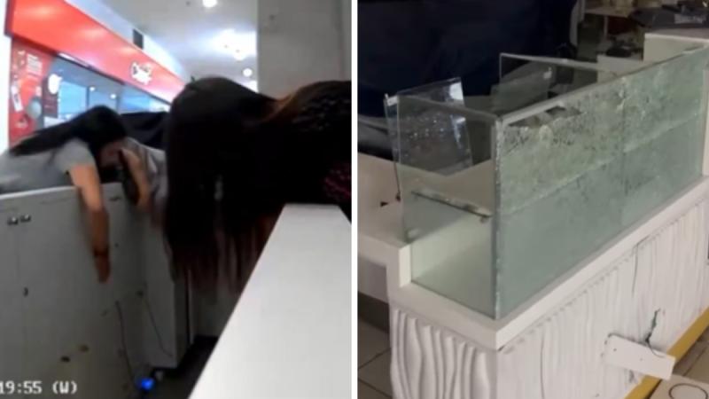 El lamento de la tienda saqueada en Mall Plaza Norte - Redes sociales