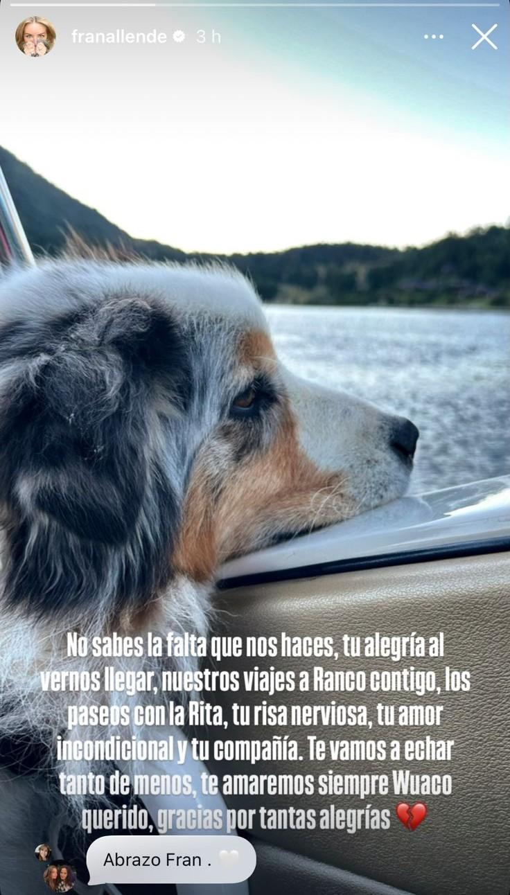 Instagran (FranAllende) - Wako, mascota de la familia Zabaleta